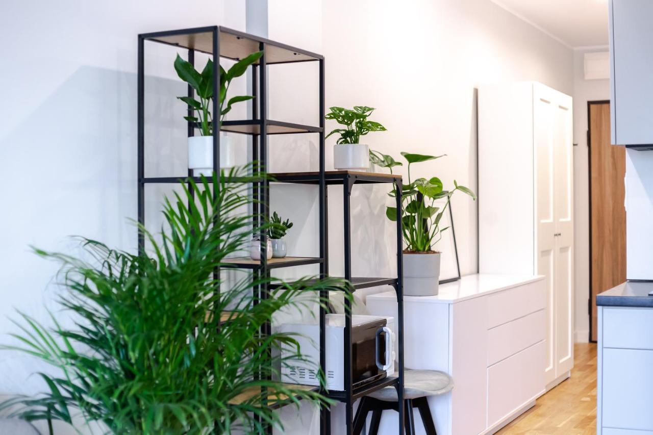 Studio W Centrum- Villa Wenecja Poznań Eksteriør bilde
